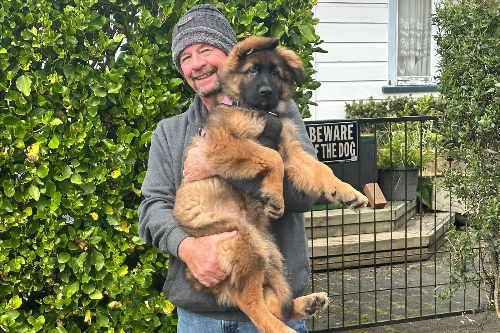 Dog Wee Patches on Your Hamilton Lawn: Why They Happen and How to Fix Them