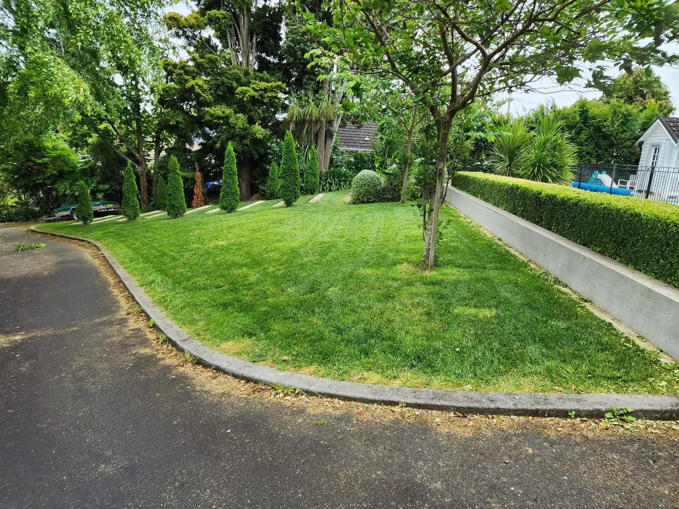 Selling Your House in Hamilton? Get the Lawn Ready for Photos and Open Homes
